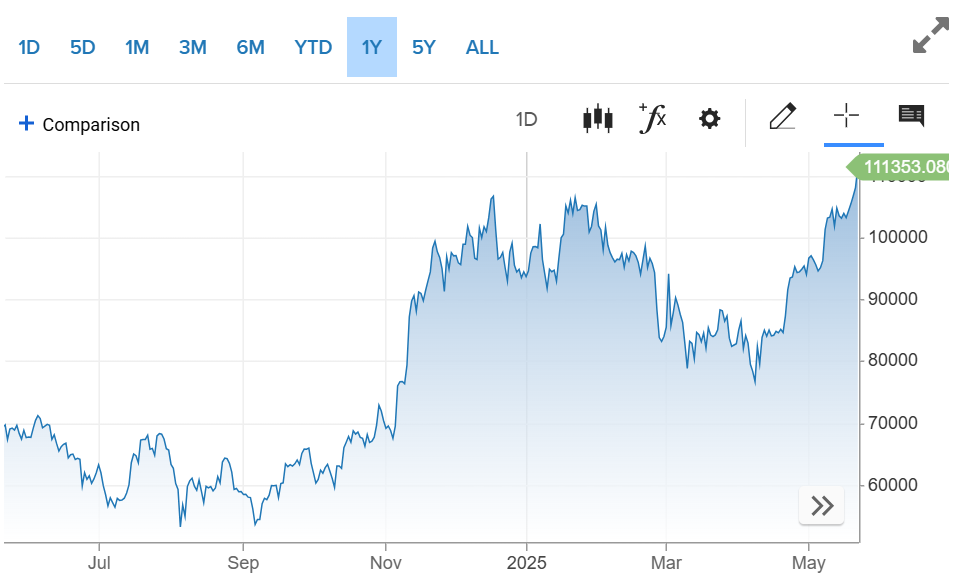 Bitcoin 1-year chart showing record high
